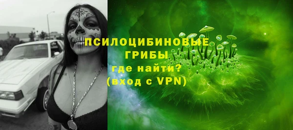 дживик Абинск