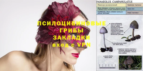 дживик Абинск
