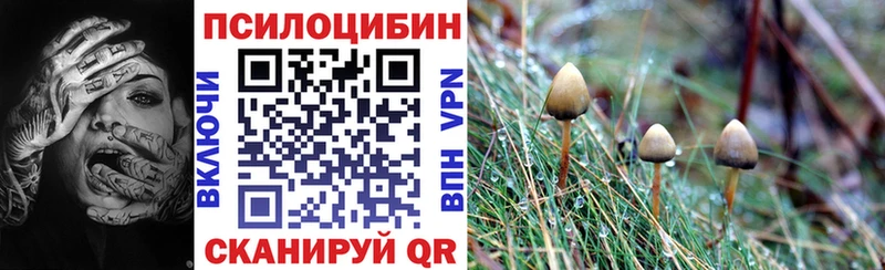 Галлюциногенные грибы Magic Shrooms  наркошоп  Азнакаево 