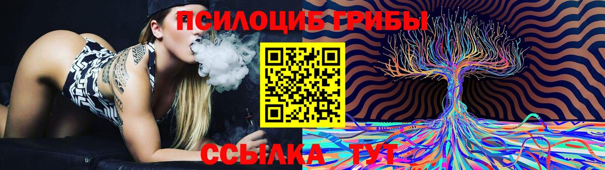 Псилоцибиновые грибы Psilocybine cubensis Азнакаево