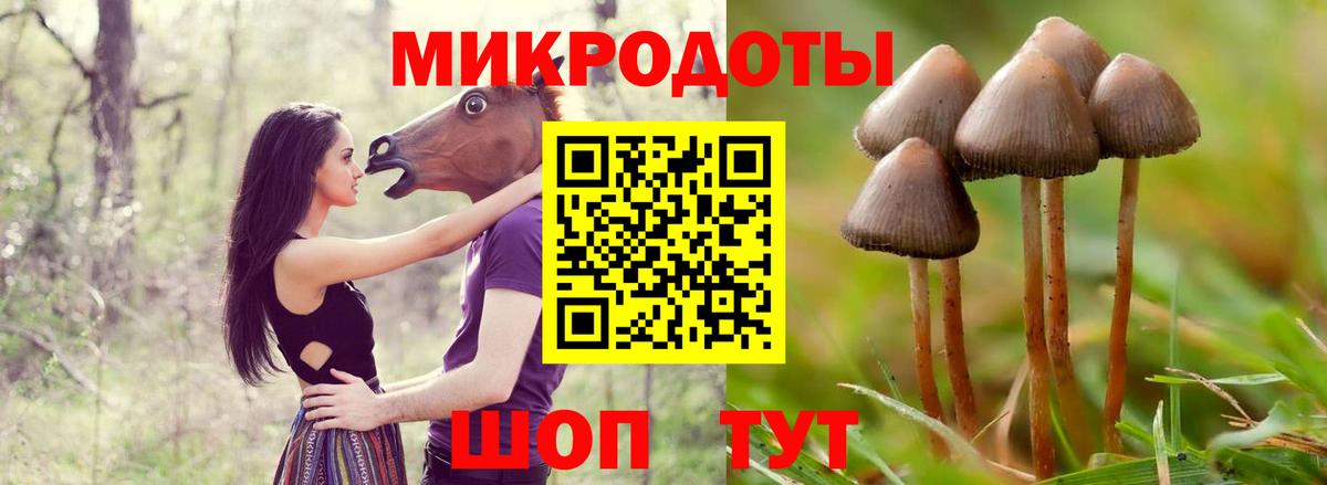 Азнакаево  Псилоцибиновые грибы MAGIC MUSHROOMS  Вход с VPN 
